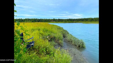 L33 Red Fox Ln, Kasilof, AK 99610 - photo 3