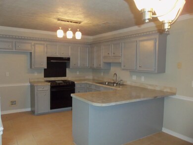 917 Mountain Crest Dr, Byram, MS 39272 - photo 3