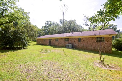 Back View