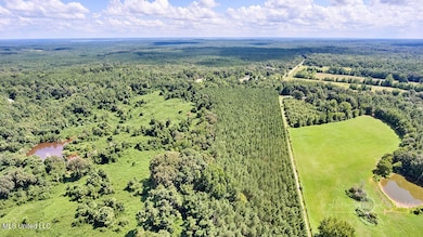 00 Graves Rd, Holly Springs, MS 38635 - photo 3