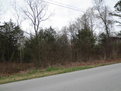 0 Skyline Dr unit 60072930, Kimberling City, MO 65686 - photo 3