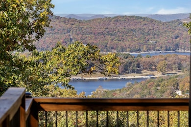 55 Lovers Ln, Branson West, MO 65737 - photo 4