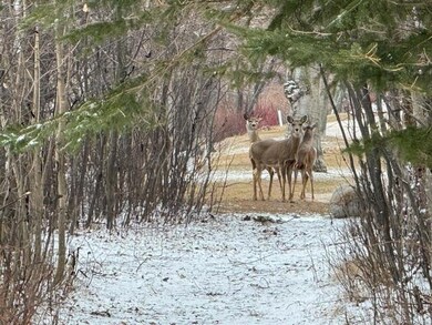 Lots 58-59 E Beach Rd, Garfield Township, MI 49762 - photo 7