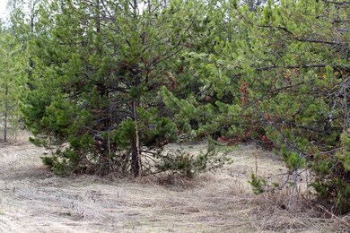 Nice Level Area