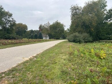 IMG_6867