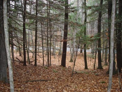 11 Buzzell Rd, Dayton, ME 04005 - photo 2