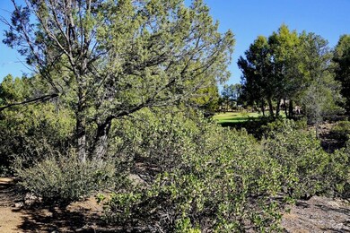 2708 E Coyote Mint Cir, Payson, AZ 85541 - photo 7