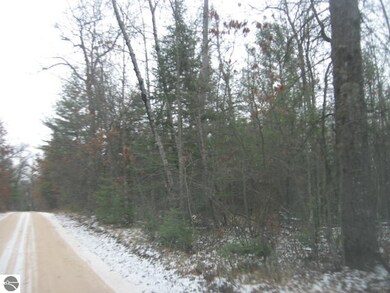 0 S Williams unit 1778653, Alger, MI 48610 - photo 4