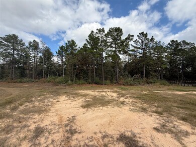 23705 Birch Grove Rd, Montgomery, TX 77316 - photo 2