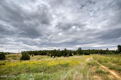paxmanphoto_PAX_0653 (Large)