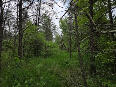 10 Acres 25th St, Necedah, WI 54646 - photo 3