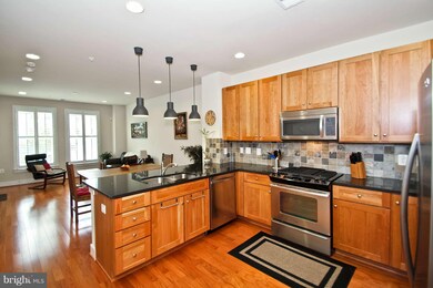 2209 Main Line Blvd unit 101, Alexandria, VA 22301 - photo 6