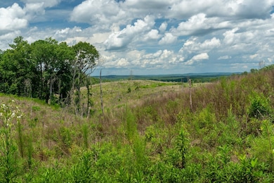 0 Longtown Rd unit 21128598, Ridgeway, SC 29130 - photo 5