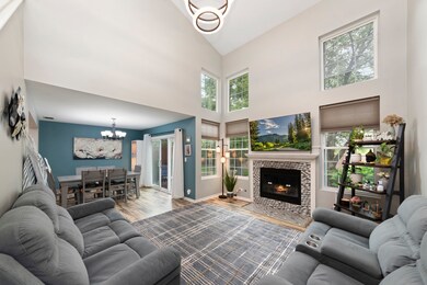 3848 Relstar Ct unit 1, Naperville, IL 60564 - photo 2