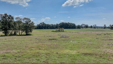 44 Pine Lane Ranch Rd, Laurel, MS 39443 - photo 5