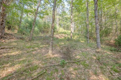 0 Glebe Rd unit Lot 35 4971368, Lyman, NH 03585 - photo 4