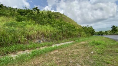 0 Carr 30 & Carr 203 unit MFRPR9106849, Gurabo, PR 00778 - photo 3