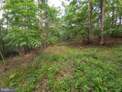 0 7 35 Acres Ash Ruckman Rd, Augusta, WV 26704 - photo 6