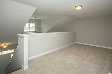 193 Astoria Park Loop unit Lot 24, Conway, SC 29526 - photo 3