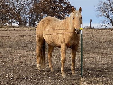 This handsome boy does NOT go with the property, b