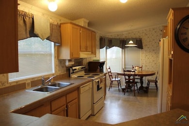 14350 Big Oak Bay Rd, Tyler, TX 75707 - photo 5