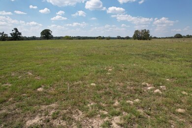 TBD-B County Road 435, Frankston, TX 75763 - photo 4