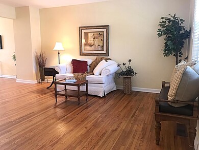 Roomy Living Room