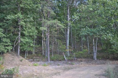 0 Highland Ridge Rd unit 1000167645, Berkeley Springs, WV 25411 - photo 3