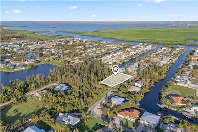 5464 Ann Arbor Dr, Pine Island Center, FL 33922 - photo 2