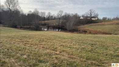 3720 Highway 566, Magnolia, KY 42757 - photo 4