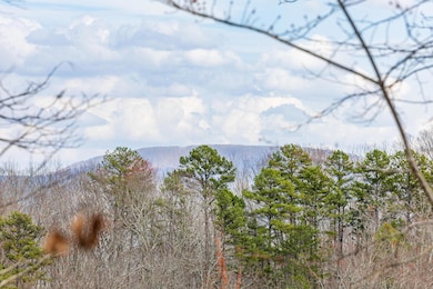 0 Lee Station Mountain Rd, Pikeville, TN 37367 - photo 5