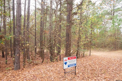 TBD County Road 169d, Kilgore, TX 75662 - photo 5