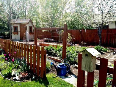Big Wonderful Garden