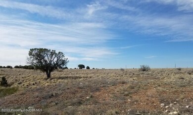XXX Road 3950, Farmington, NM 87401 - photo 4