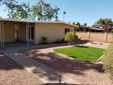 32nd backyard 3