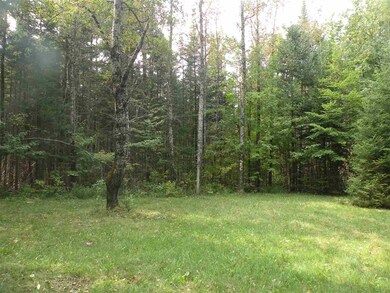 0 Route 3 N unit 4828785, Carroll, NH 03598 - photo 4