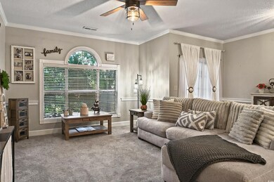 Carpeted living room with ceiling fan, a textured ceiling, baseboards, and crown molding