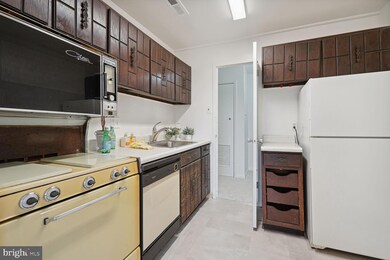 3100 S Manchester St unit 824, Falls Church, VA 22044 - photo 6