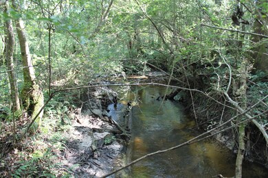 100-171 Cooks Corner Rd, Lucedale, MS 39452 - photo 3