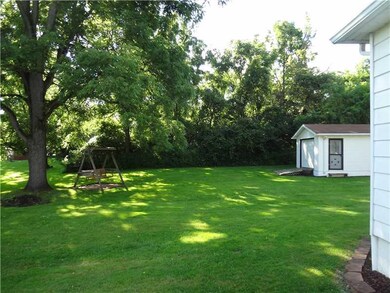 Yard/Garden.