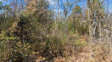 View of local wilderness