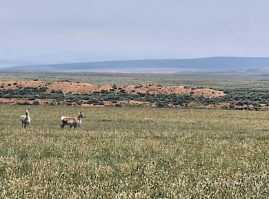 B St unit Rock River WY 82083, Rock River, WY 82083 - photo 6