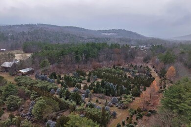 0 Mount Moosilauke Hwy unit 4-2A (PROPOSED), Wentworth, NH 03282 - photo 4