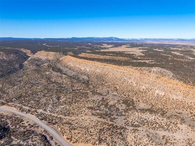 0 Nsn Forest Road 131 C unit 25747171, Tierra Amarilla, NM 87551 - photo 5