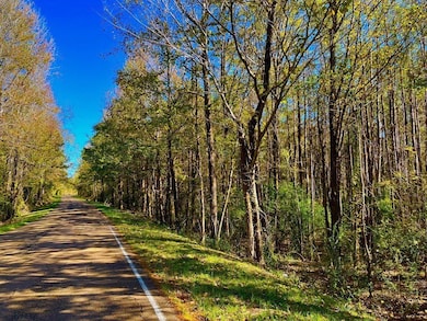 1000 Old Sylvarena Rd, Wesson, MS 39191 - photo 2