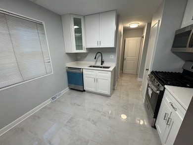 4912 Crain St unit C, Skokie, IL 60077 - photo 6