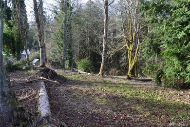 0 Lake Sixteen Rd, Mount Vernon, WA 98274 - photo 6