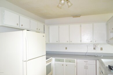 Kitchen Cabinets and Fridge