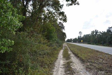 0 Sea Meadows Dr unit 312713, Perry, FL 32348 - photo 7