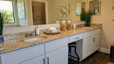 14304 Fissore Blvd, Wimauma, FL 33598 - photo 3